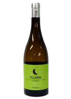 Vino blanco Yllera Verdejo Vendimia Nocturna