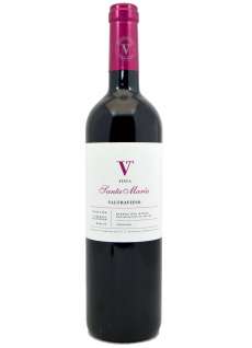 Vino tinto Valtravieso